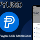 PayPal lancia PYUSD