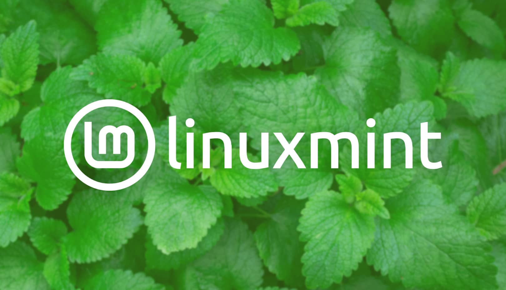 linux mint